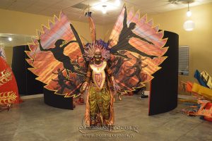 Dekalb Caribbean Carnival King and Queen Competition 2016